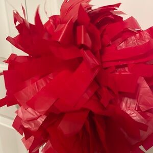 Pom-poms